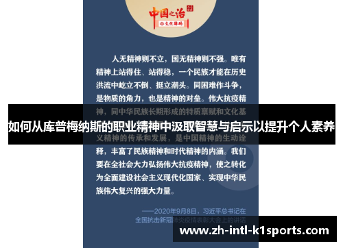 如何从库普梅纳斯的职业精神中汲取智慧与启示以提升个人素养