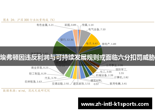 埃弗顿因违反利润与可持续发展规则或面临六分扣罚威胁 埃弗顿因违反利润与可持续发展规则或面临六分扣罚威胁